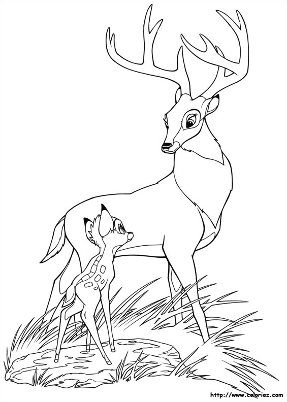 Père et fils