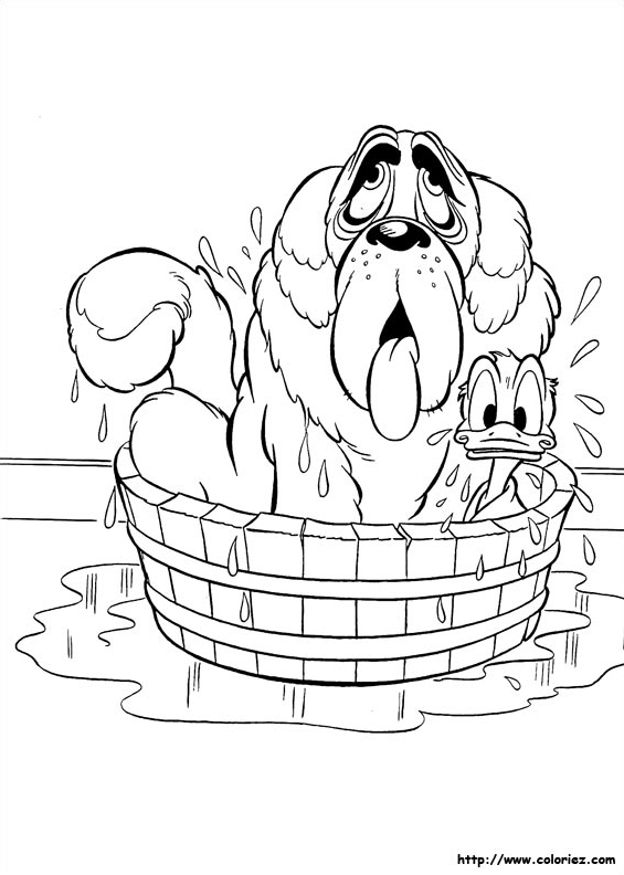 Petit bain
