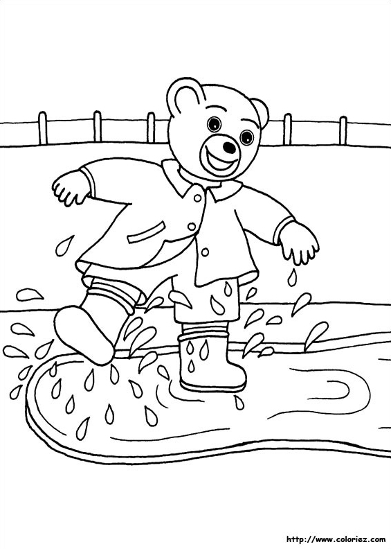 Petit ours brun flaques