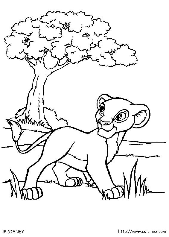 Petit roi