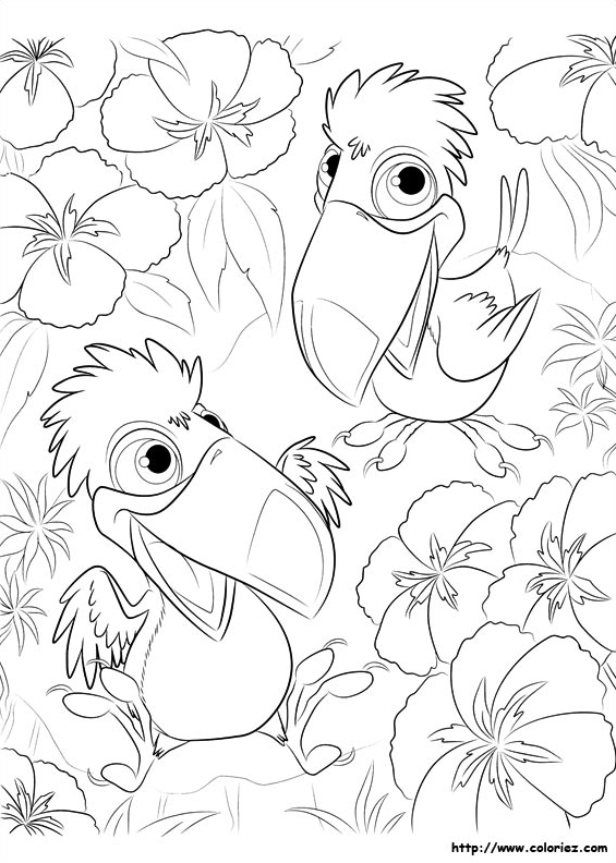 Petits toucans