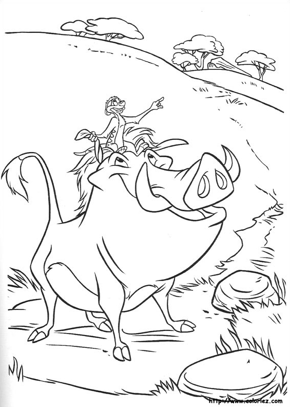 Phacochère et Suricate