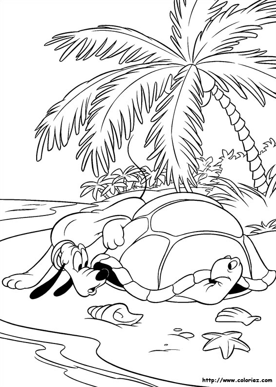 Pluto rencontre une tortue