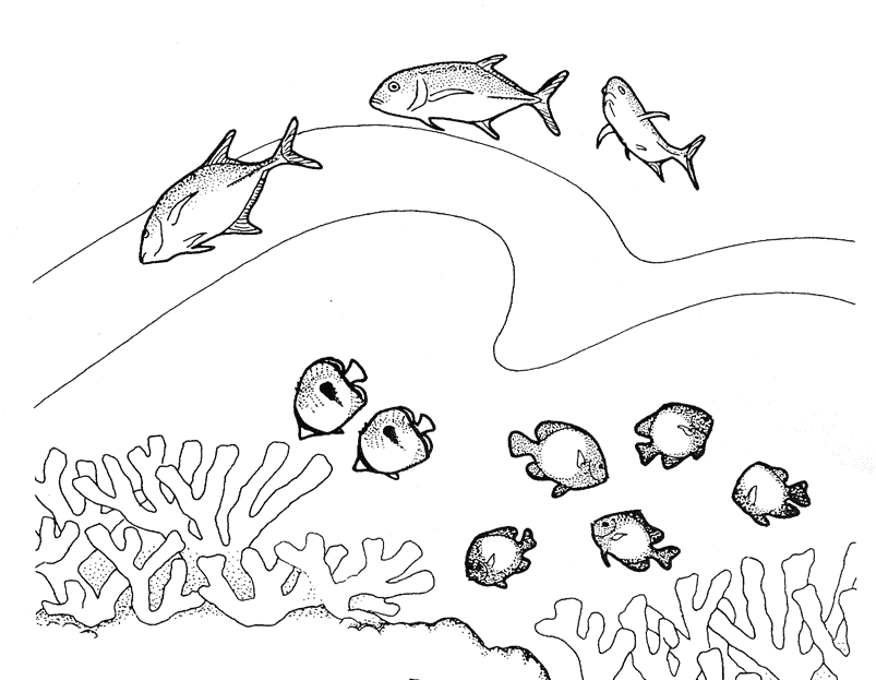 Coloriage Poissons 7