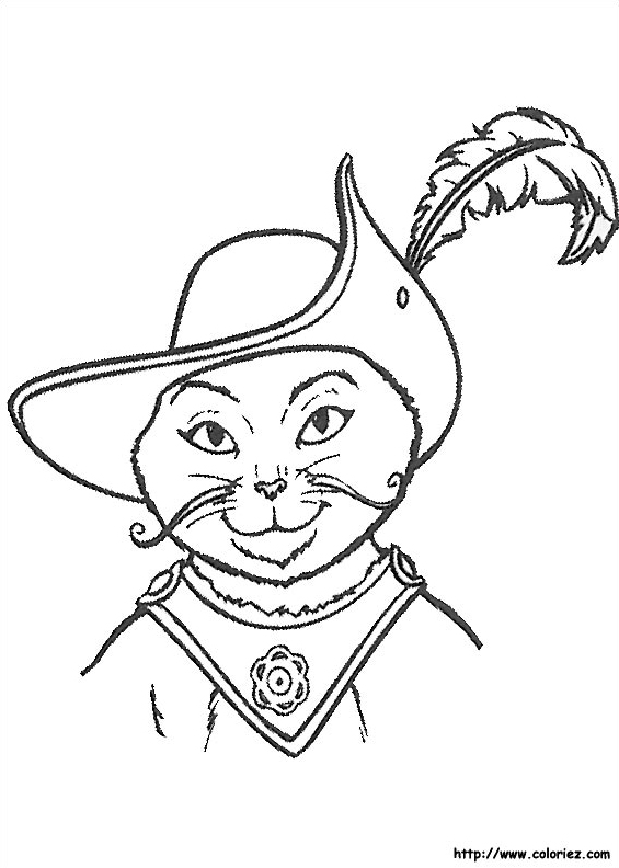 Portrait du Chat Potté
