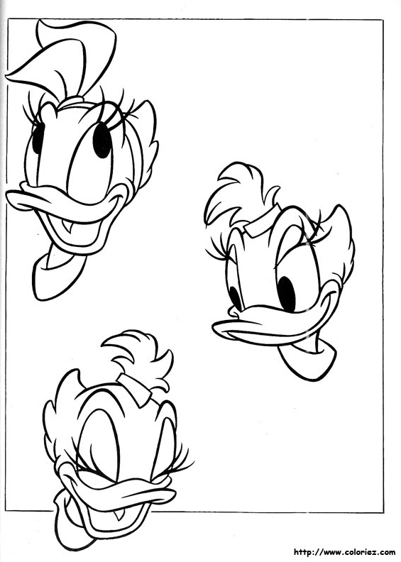 Portraits de Daisy