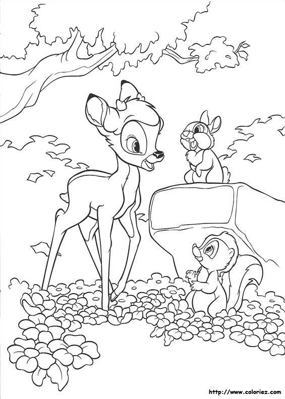 Premiers bois de Bambi