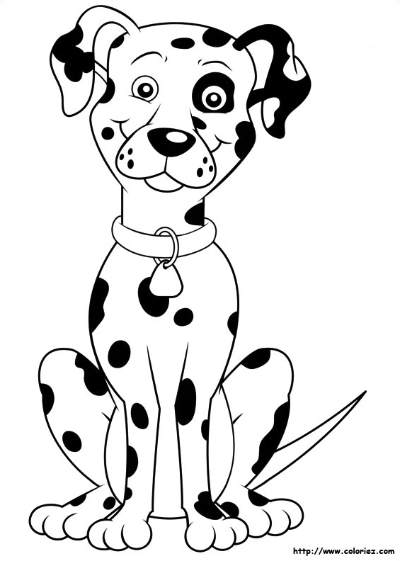 Radar le chien