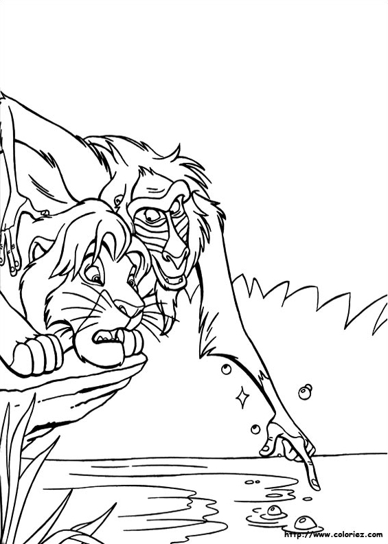 Rafiki le vieux sage