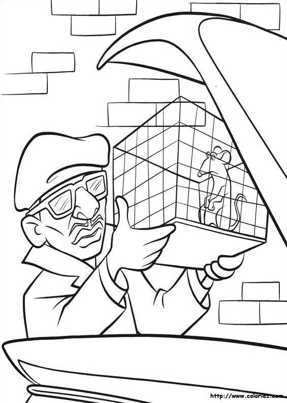 Rémy en cage
