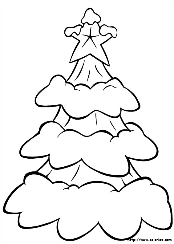 Sapin eneigé
