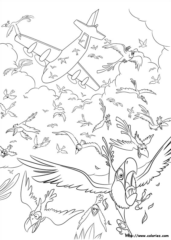 Sauvetage des oiseaux