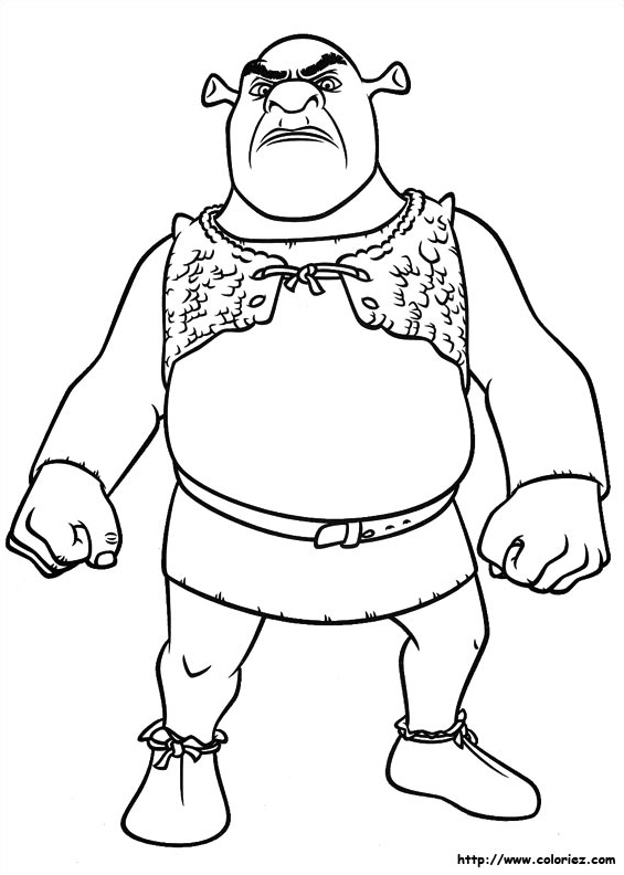 Shrek en colère