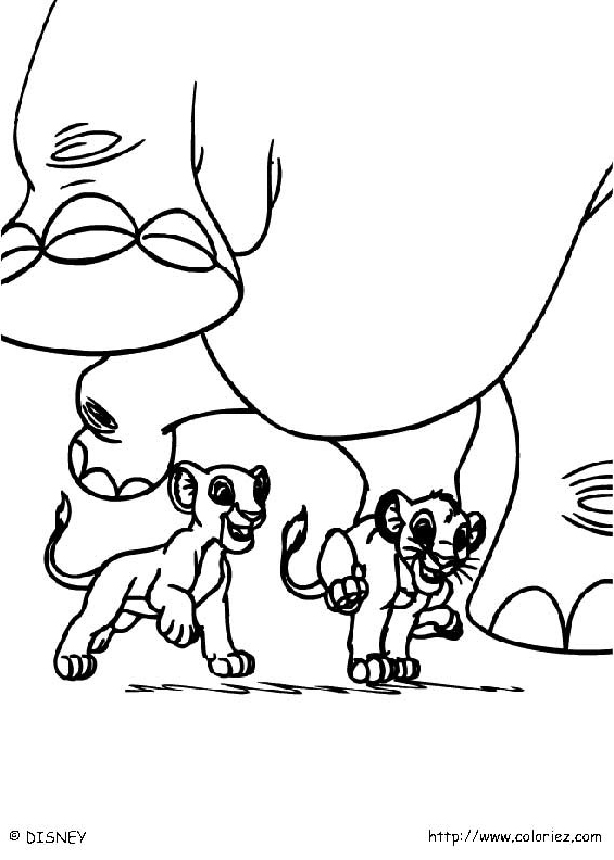 Simba et Nala