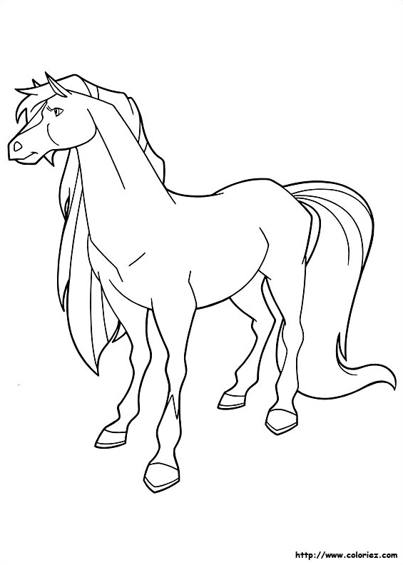 Tango de Horseland
