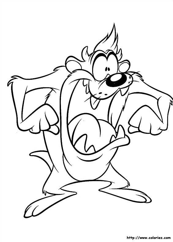 Taz