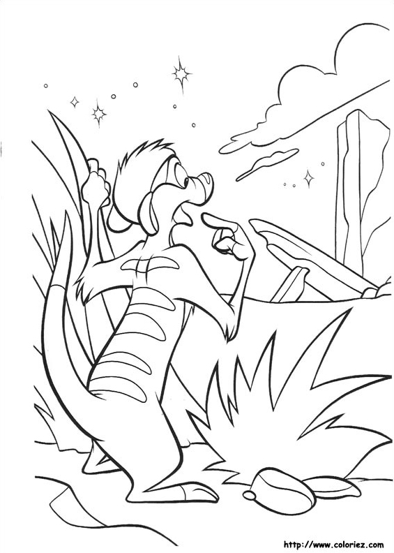 Timon dans la jungle