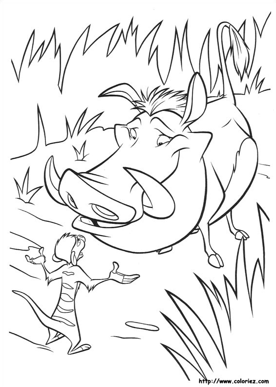 Timon face à  Pumbaa