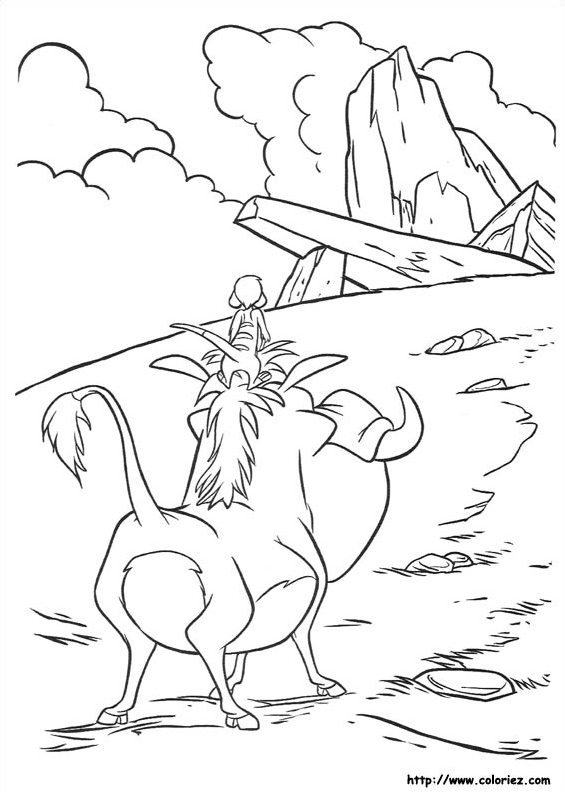 Timon sur le phacochère