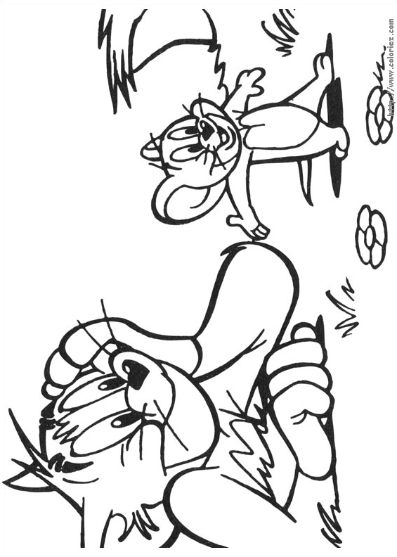 Tom et Jerry à  la campagne