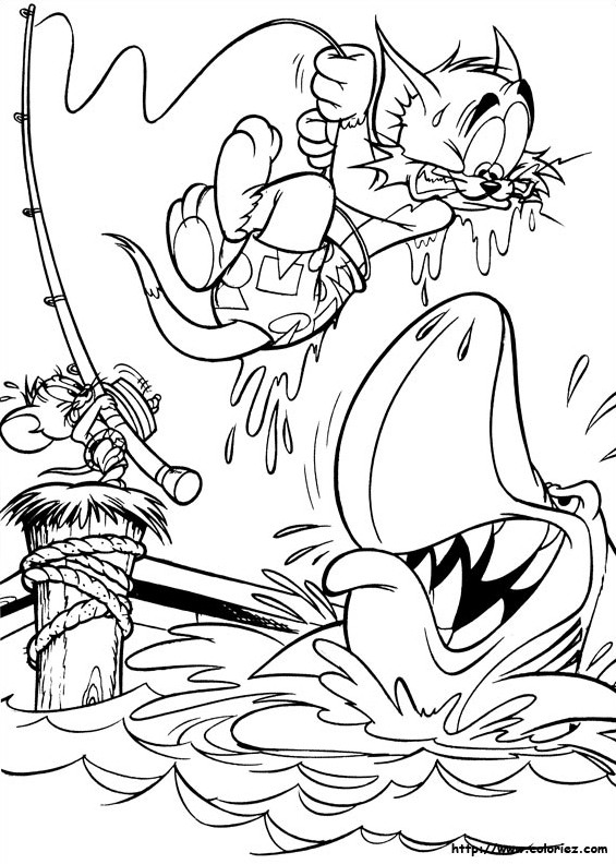 Tom et le requin
