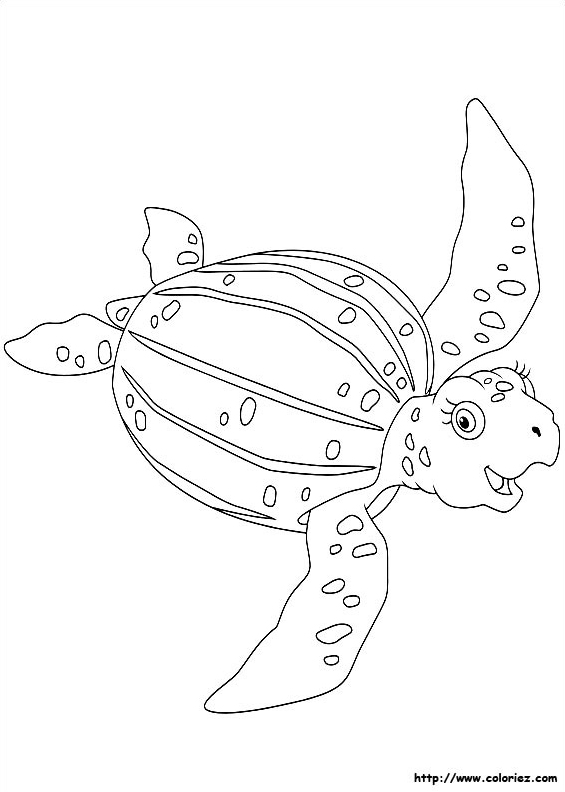 Turga la tortue luth