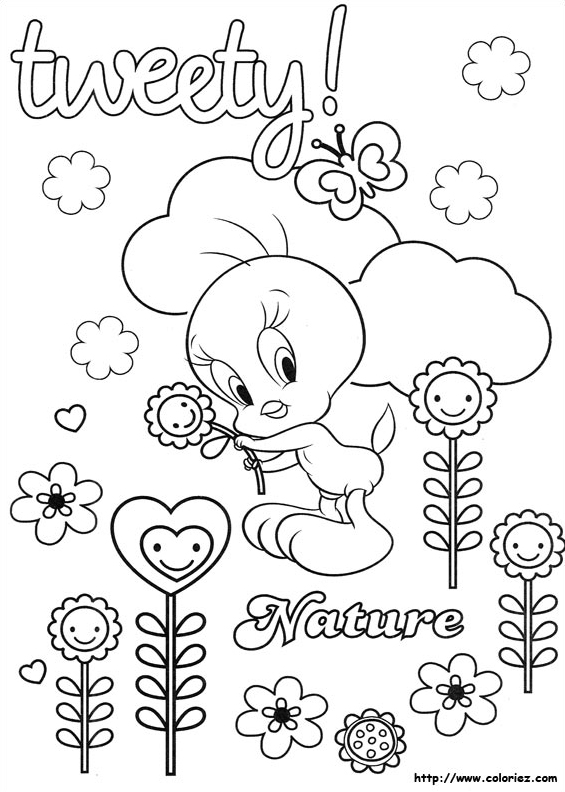 Tweety nature