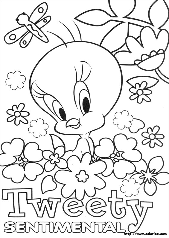 Tweety sentimental