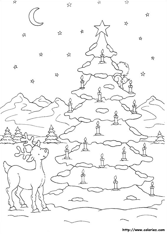 Un grand sapin de Noël