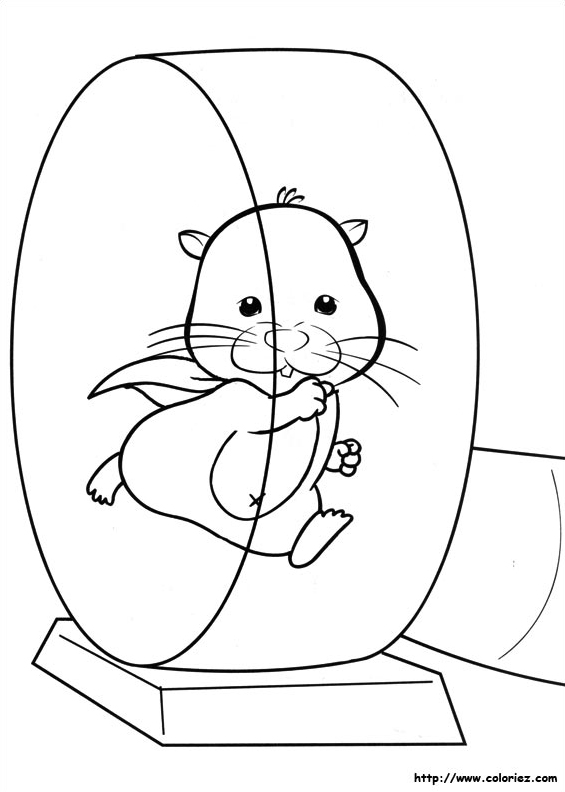 Un hamster à  l'entraà®nement