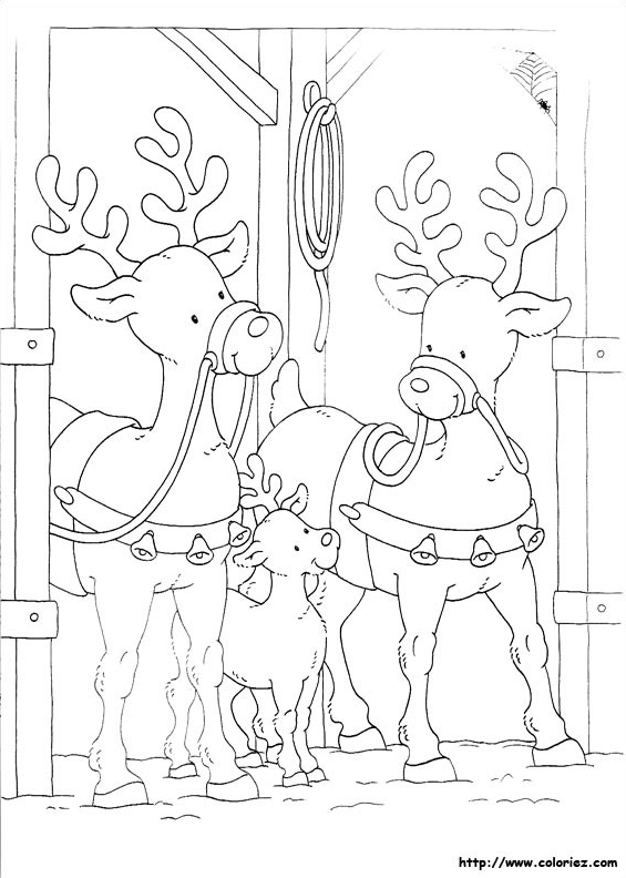 Une famille de rennes
