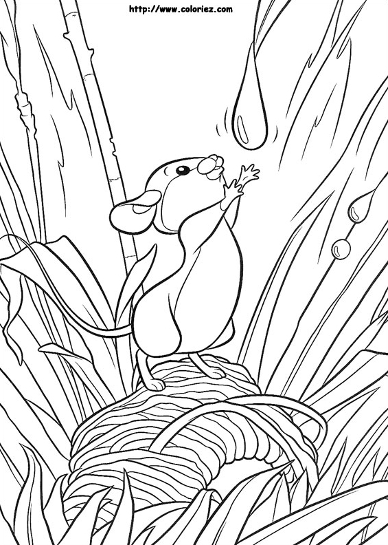 Une petite souris
