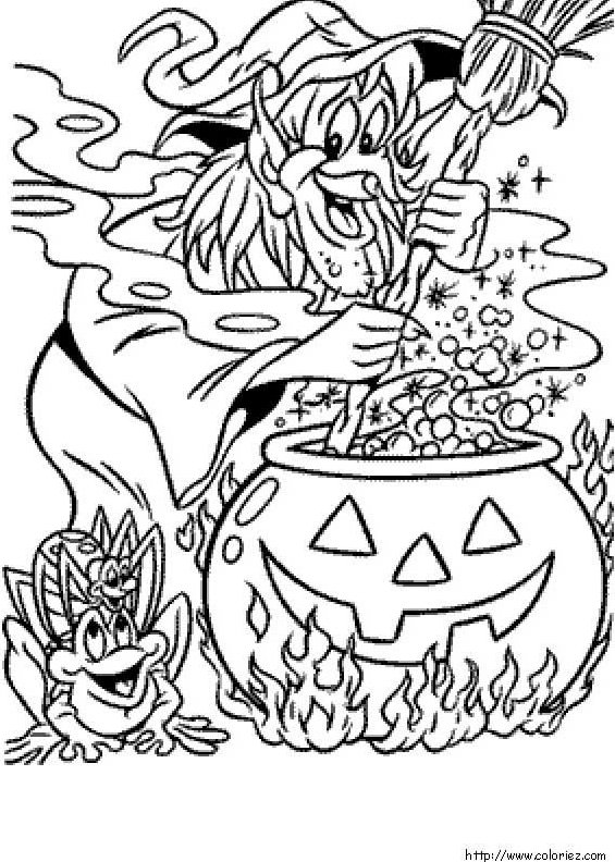 Une-sorcière-et-sa-marmite