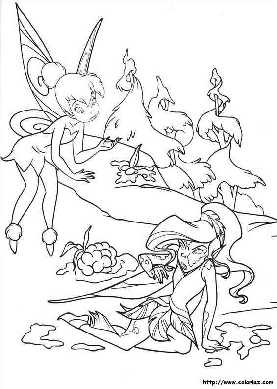 Vidia est toute tachée