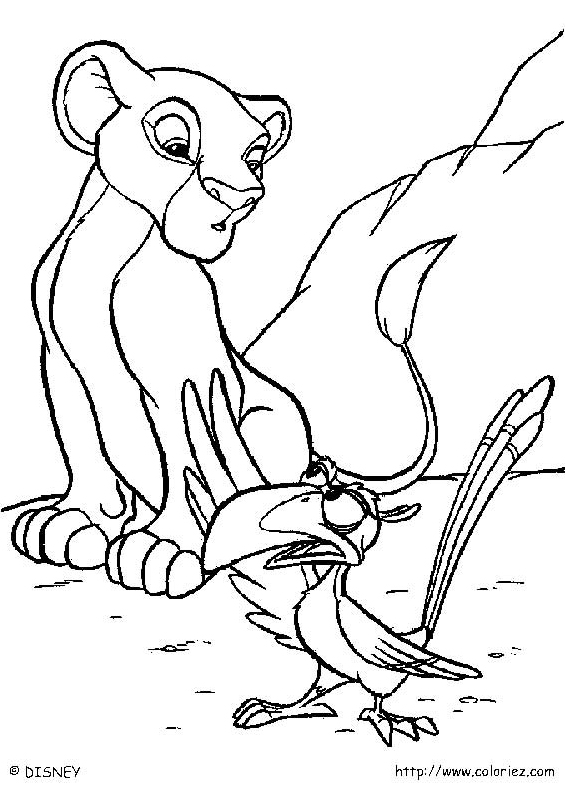 Zazu le calao à  bec rouge