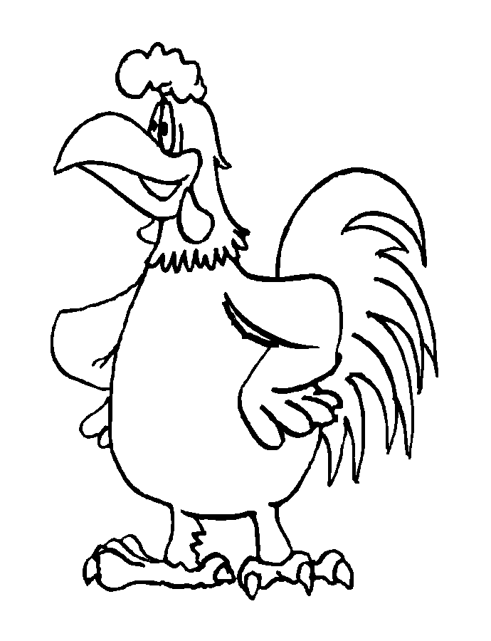 Coq marrant