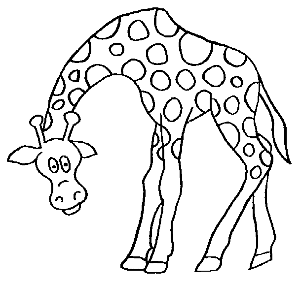 Grande girafe de la savane