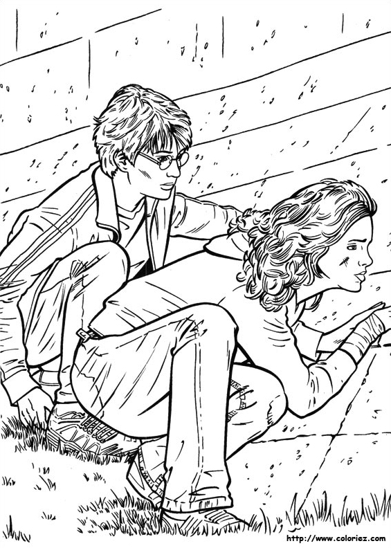 Harry et Hermione guettent