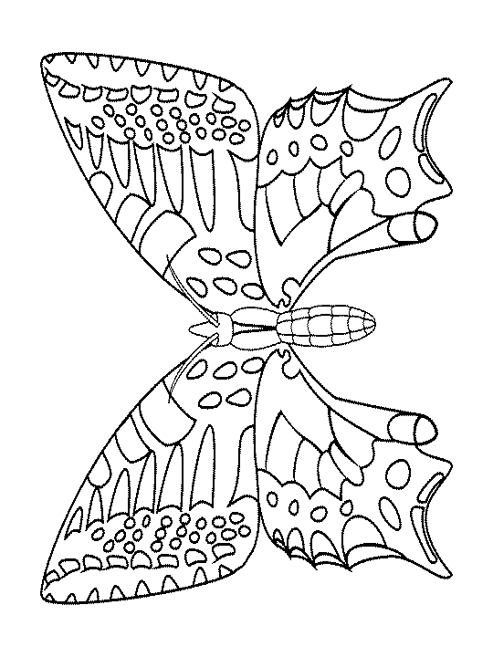 Joli papillon