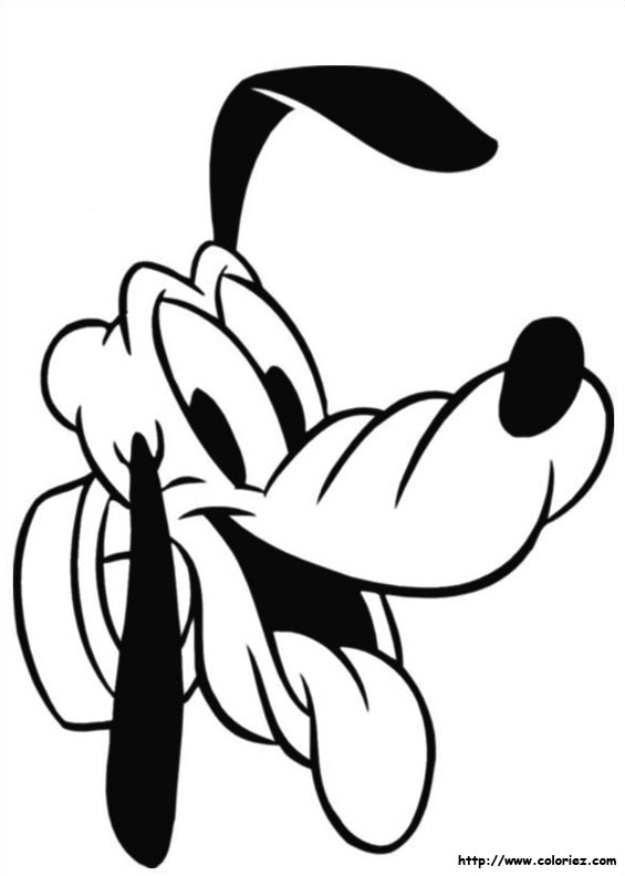 La tête de Pluto