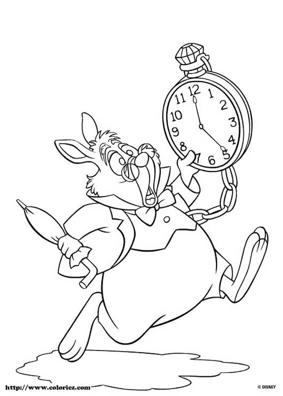 Lapin blanc