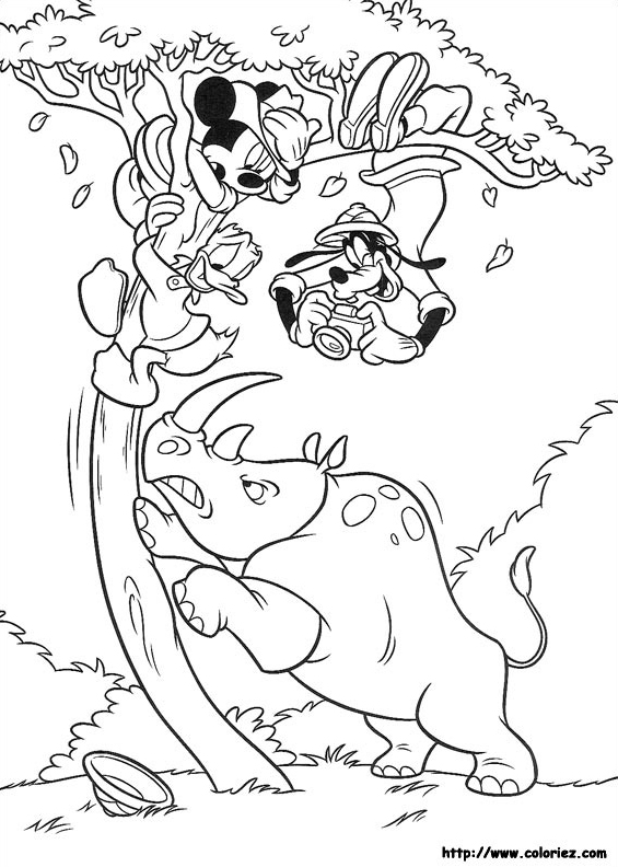 Coloriage Le rhino en colère