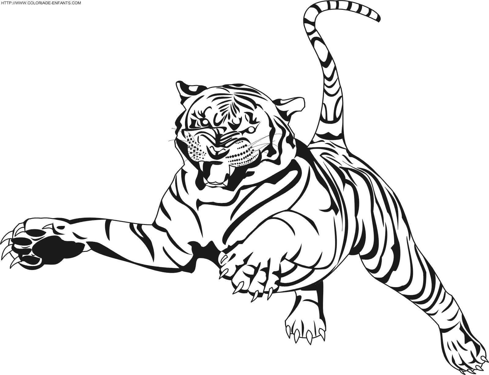 Le saut du tigre