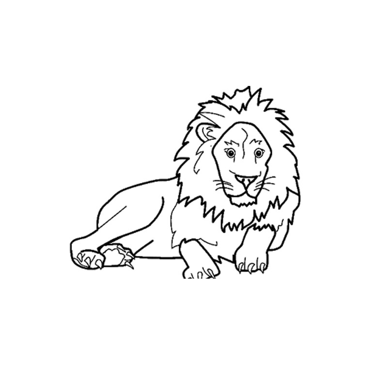 Lion avec sa belle crinière