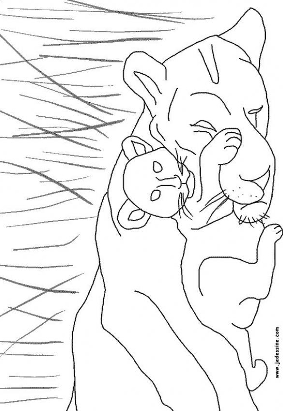 Lionne avec son lionceau