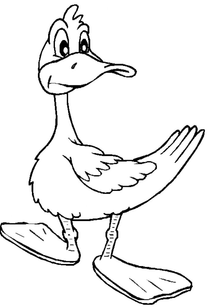 Monsieur canard