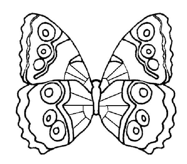 Papillon les ailes déployées