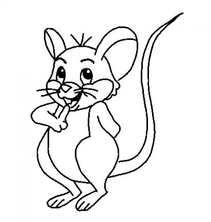 Petite souris