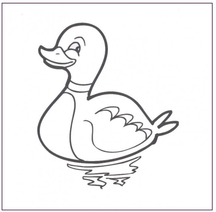 Un canard dans la marre