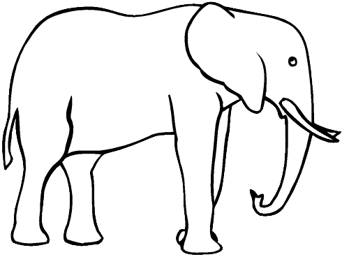 Un éléphant de profil